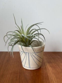 Alternative view of Small White Vase with Nautical Vibe