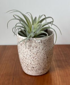 Speckled Clay Short Vase